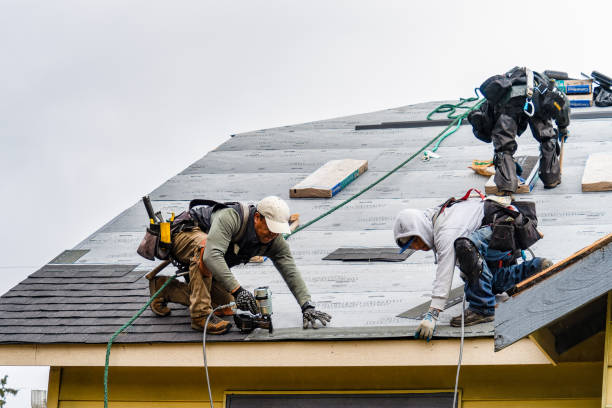 Professional Emergency Roof Repair technician working in Dana, NC